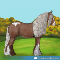 Horse Color:Silver Black Sabino Appaloosa 