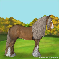 Horse Color:Chocolate Palomino Sabino