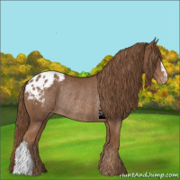 Horse Color:Chestnut Varnish Rabicano 