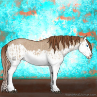 Horse Color:Red Dun Splash  and Red Dun Roan Splash 