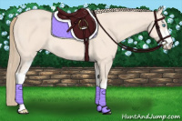 Horse Color:Perlino Sabino