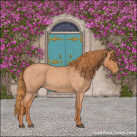 Horse Color:Red Roan 