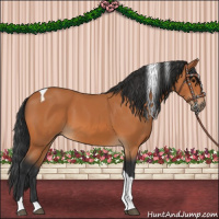 Horse Color:Bay Tobiano 