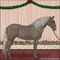 Horse Color:Silver Blue Roan