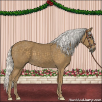 Horse Color:Silver Smoky Black 