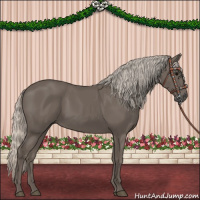 Horse Color:Silver Black 