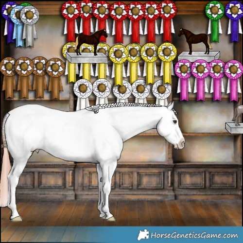 Horse Color:Liver Red Dun Appaloosa Brindle