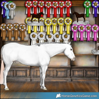 Horse Color:Liver Red Dun Appaloosa Brindle