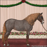 Horse Color:Liver Red Roan Splash Frame