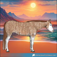 Horse Color:Red Dun Splash  and Red Dun Splash 