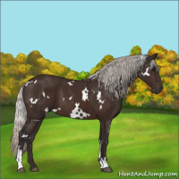Horse Color:White Spotted Silver Brown 
