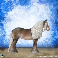 Horse Color:Liver Chestnut Mushroom 