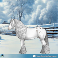 Horse Color:Liver Chestnut Ice Snowflake Varnish 