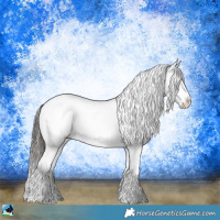 Horse Color:Brown Ice Sabino Appaloosa 