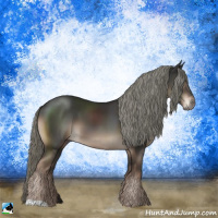 Horse Color:Liver Chestnut Mushroom 