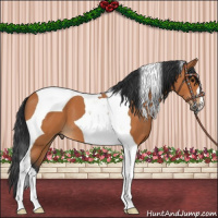 Horse Color:Bay Tobiano
