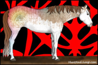 Horse Color:Red Dun Splash  and Red Dun Splash 