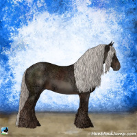 Horse Color:Liver Chestnut Ice Mushroom Rabicano 