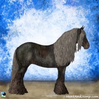 Horse Color:Liver Chestnut Ice Mushroom 