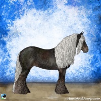Horse Color:Liver Chestnut Ice Mushroom Rabicano 