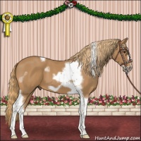 Horse Color:Chestnut Tobiano Frame