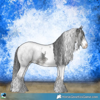 Horse Color:White Spotted Black Ice Tobiano Rabicano