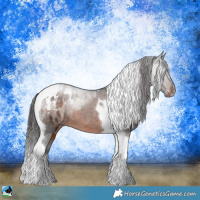 Horse Color:Brown Sabino Tobiano Blanket 