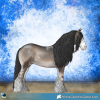 Horse Color:Blue Onyx Sabino 
