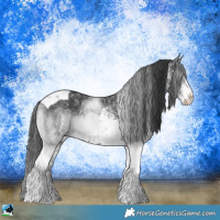 Horse Color:White Spotted Black Ice Tobiano Rabicano 