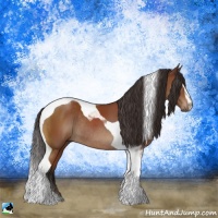 Horse Color:Brown Sabino Tobiano Rabicano