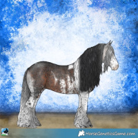 Horse Color:White Spotted Brown Ice Tobiano Rabicano 