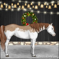 Horse Color:Red Dun Splash  and Red Dun Splash 