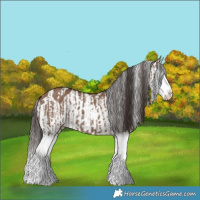 Horse Color:Liver Red Dun Splash  and Liver Red Dun Splash Near Leopard 