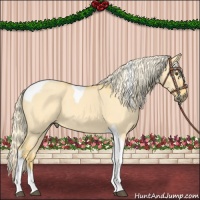 Horse Color:Palomino Dun Tobiano 