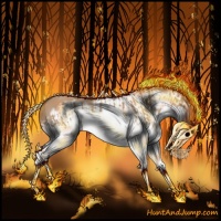 Horse Color:Red Dun Splash  and Red Dun Splash Frame 