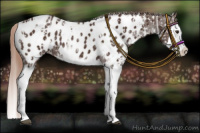 Horse Color:Liver Chestnut Sabino Splash Appaloosa  and Liver Chestnut Sabino Splash Appaloosa 