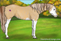 Horse Color:Red Dun Splash  and Palomino Dun Splash 
