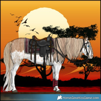 Horse Color:Red Dun Splash  and Red Dun Splash 