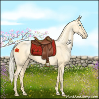 Horse Color:Palomino Pearl