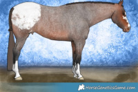 Horse Color:Bay Roan Snowcap 