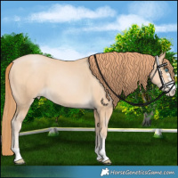 Horse Color:Chocolate Buckskin Pearl 