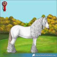 Horse Color:Red Dun Appaloosa  and Red Dun Appaloosa 