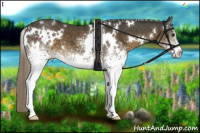 Horse Color:White Spotted Chocolate Palomino 