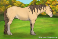 Horse Color:Amber Cream Champagne 