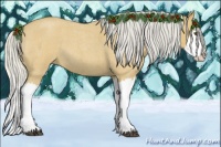 Horse Color:Silver Buckskin Roan Splash