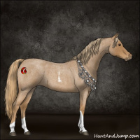 Horse Color:Red Roan Tobiano 