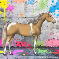 Horse Color:Palomino Tobiano Frame