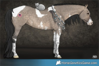 Horse Color:Brown Dun Sabino Tobiano 