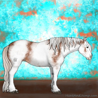 Horse Color:White Spotted Silver Bay Splash 