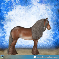 Horse Color:Liver Chestnut Mushroom Rabicano 